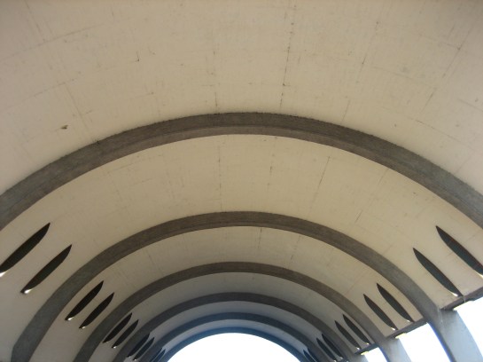 The whole roof and nothing but