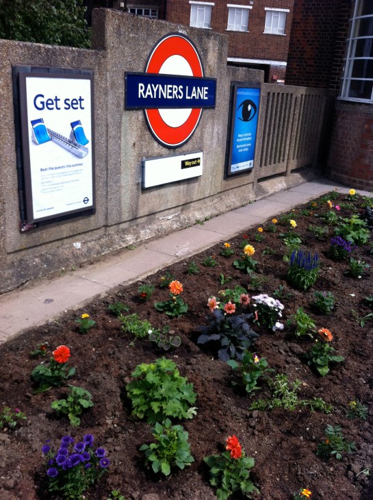 Insert your own "blooming" pun here