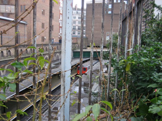 These pictures just keep getting better