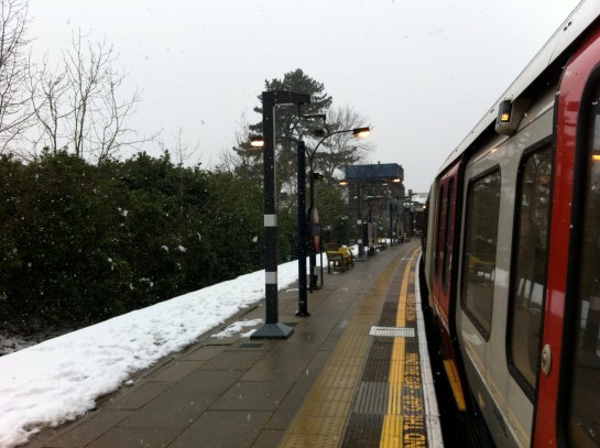 The best kind of shelter