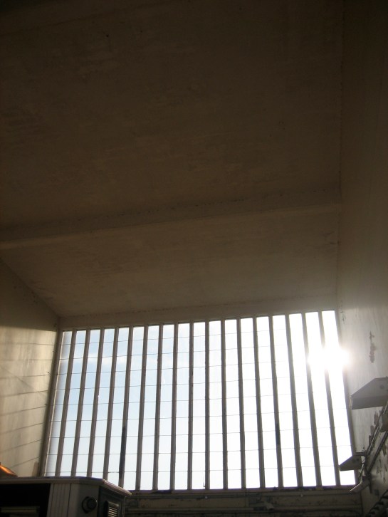 Goodness, What Radiance!