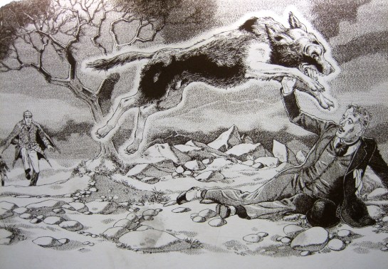 The Hound of the Baskervilles